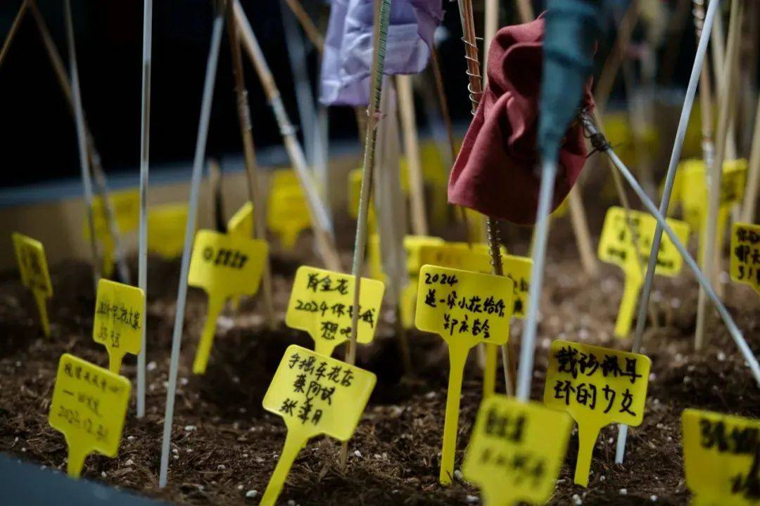 🌸【最准一肖一码一一子中特】🌸_山西太原：大手笔建设新型工业城市