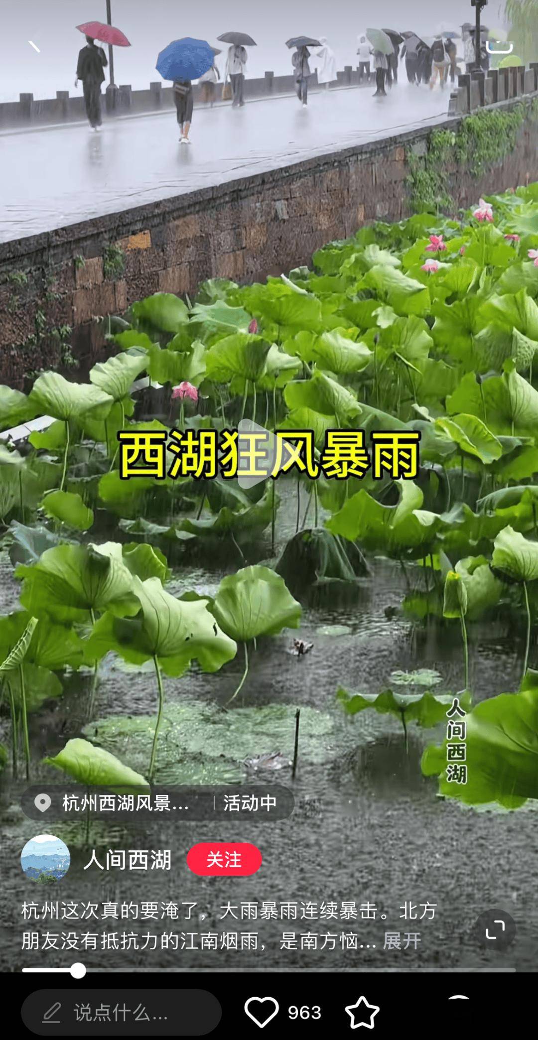 🌸法制网 【澳门管家婆一肖一码100精准】_要进娱乐圈？李佳琦承认将参加《披哥》录制，坦言是为了赚钱