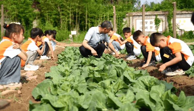 爱奇艺：管家婆免费资料大全-小小探索家：激发小朋友好奇心与探索欲的教育方法