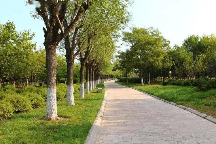 50岁后坚持晨练，比不常晨练患心梗风险高数倍？医生：3点很重要