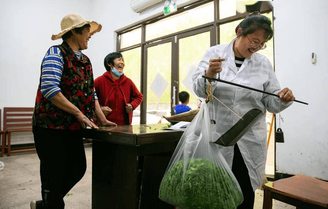 青年影像丨刘伟光：沂蒙山上茶叶情  第4张