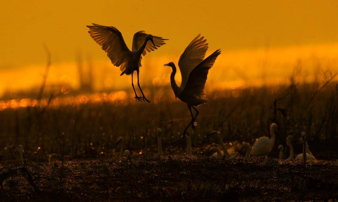 打卡湖南秋日限定美景,去这几个地方就够了 打卡湖南秋日限定美景,去这几个地方就够了