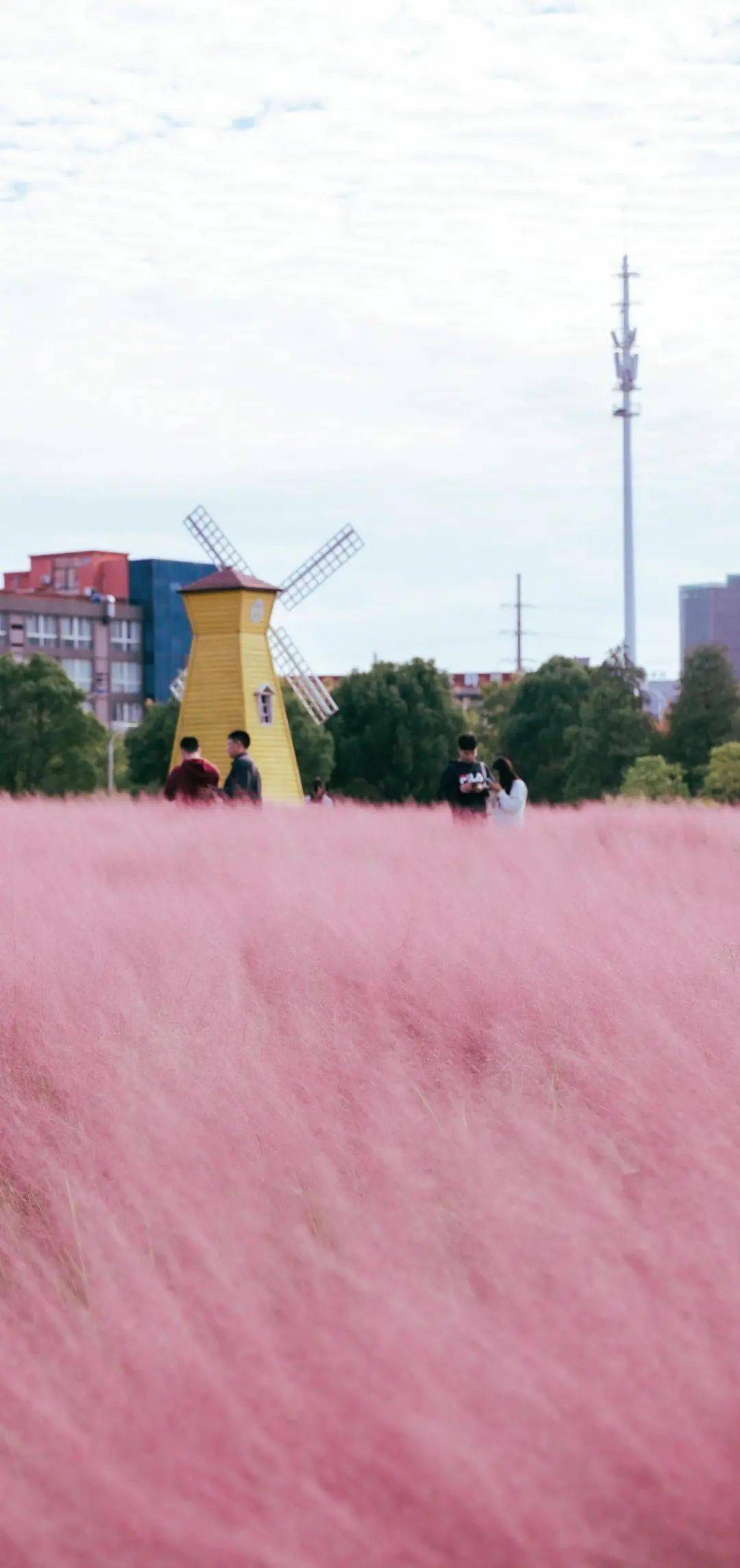 打卡湖南秋日限定美景,去这几个地方就够了 打卡湖南秋日限定美景,去这几个地方就够了