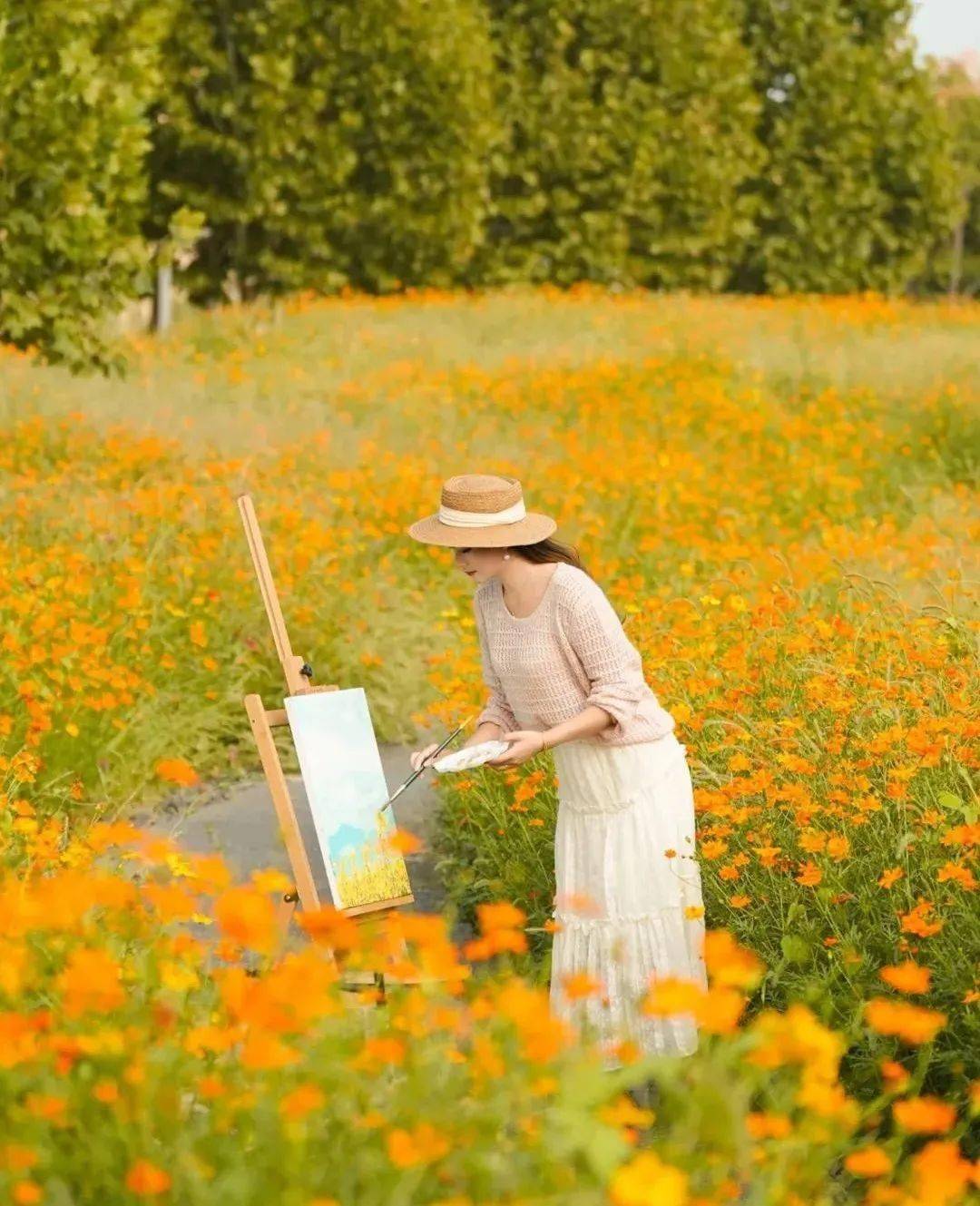 打卡湖南秋日限定美景,去这几个地方就够了 打卡湖南秋日限定美景,去这几个地方就够了