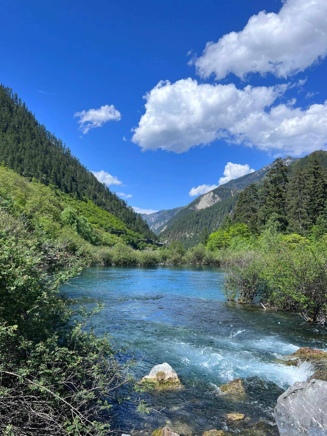 一竞技官网到成都旅游攻略自由行让你的旅行更自由更精彩(图2)