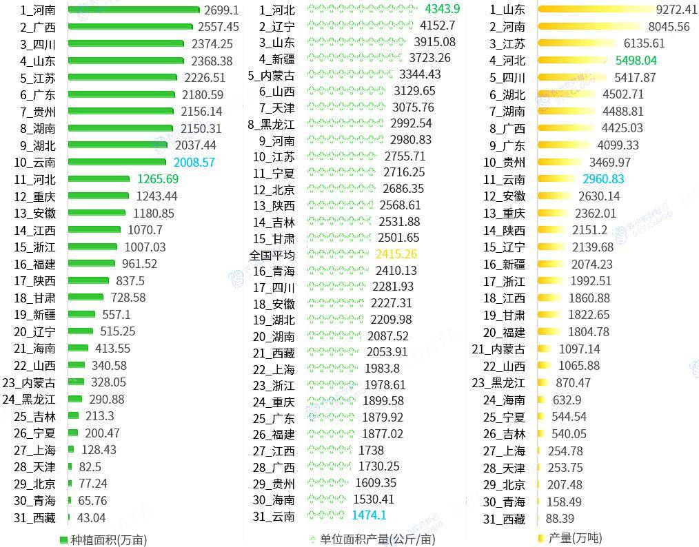 2024年中国蔬菜产业数据分析简报(图5)