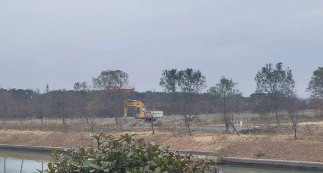 雷克萨斯金山基地加速推进丰田独资背后的长三角产业新布局