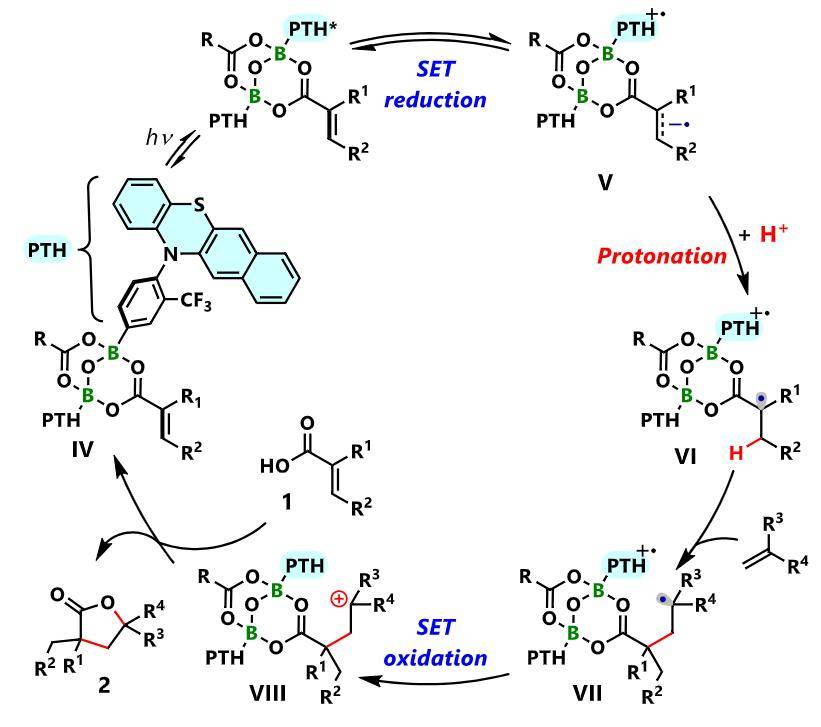 yoshiji takemoto团队：光催化通过 α,β-不饱和羧酸与烯烃的 [3 + 2] 环加成