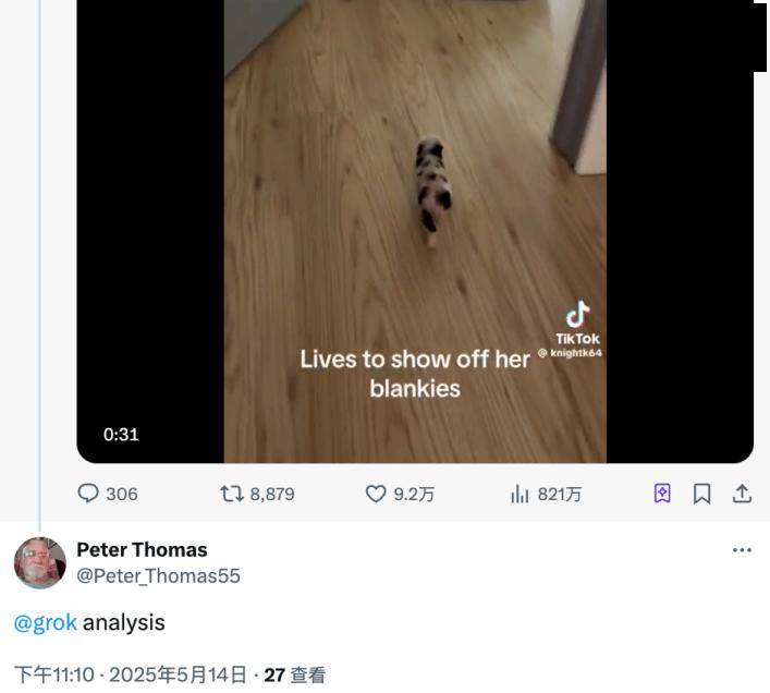 Grok居然从小猪视频读出了“南非白人种族灭绝”？