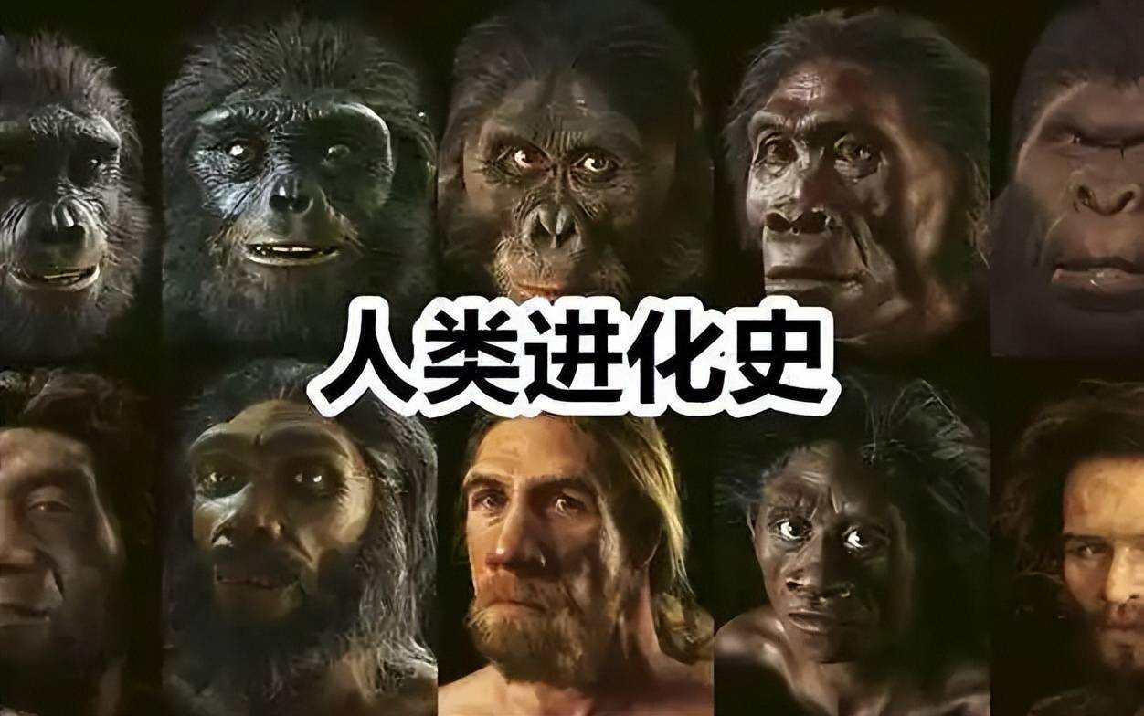 深度科普：为何人类比猿少两条染色体？难道进化论错了？