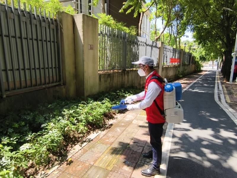 5000多条“灭蚊鱼”上岗！佛山禅城蚊媒传染病防控总动员