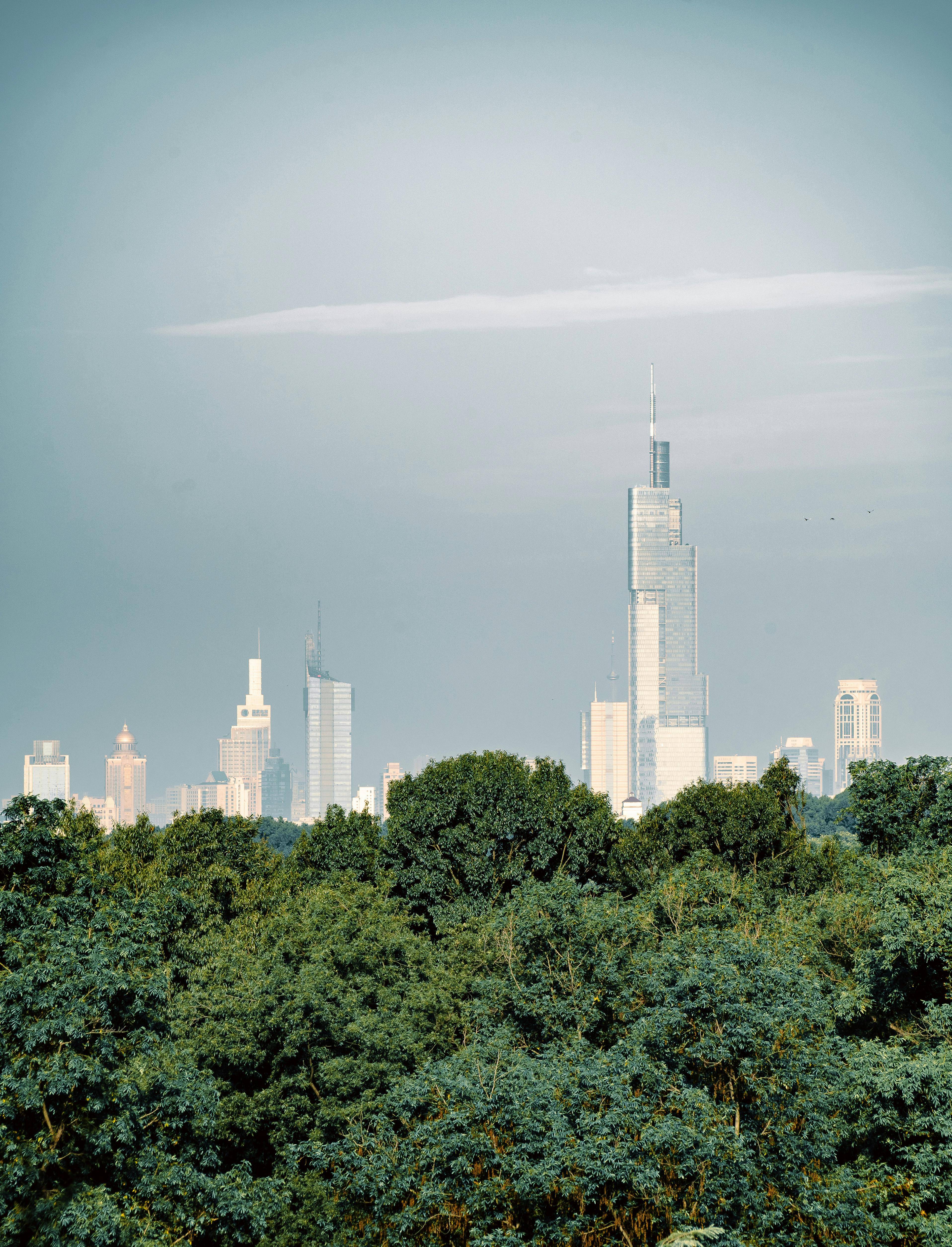 详解再造散:专治阳虚外感风寒的经典解表方,这些要点你必须掌握!