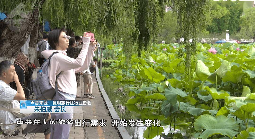00后不赶场、银发族避高峰！昆明凭气候风光圈粉两代人