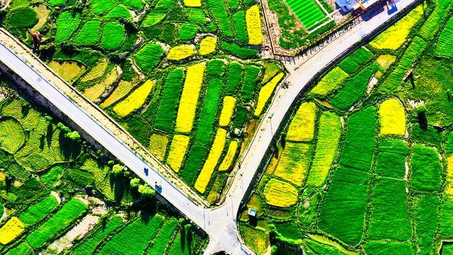 如何预防宫颈癌?接种HPV疫苗要注意什么?专家解读