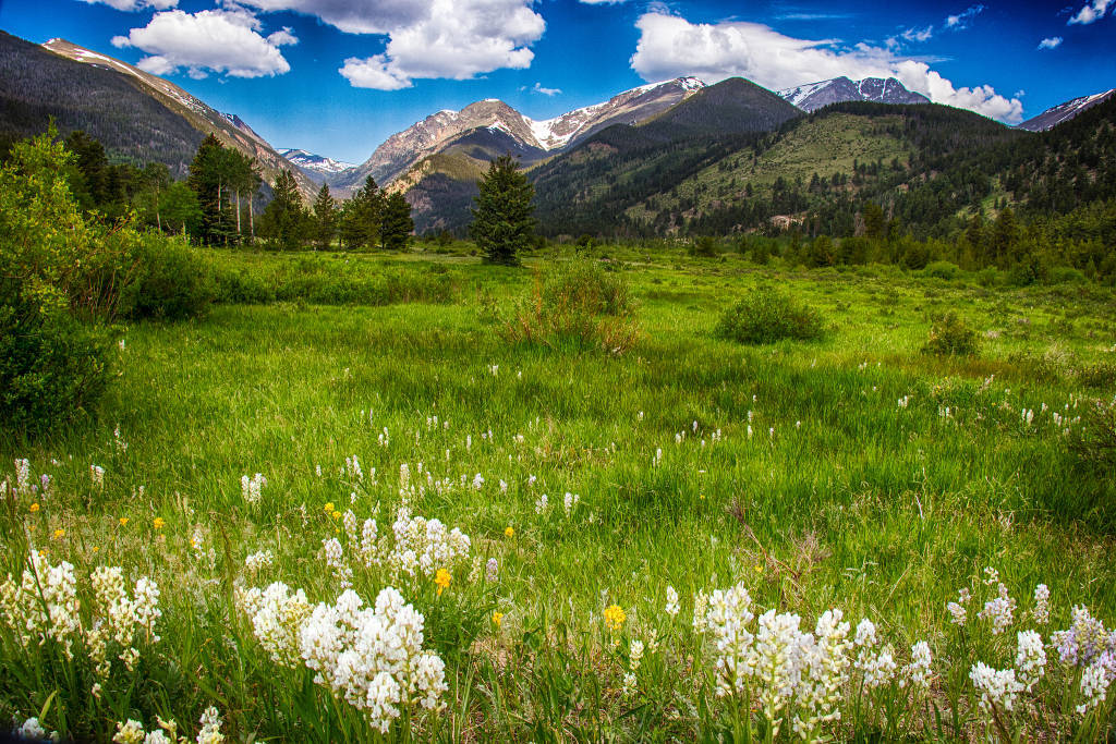 一女子在上海地铁车厢内吸电子烟，地铁客服回应