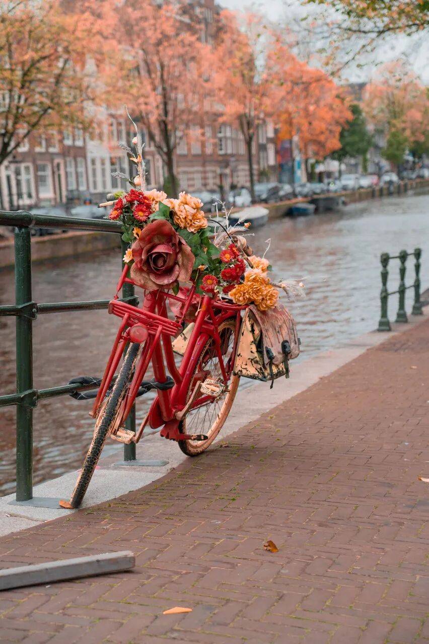 龙的巴黎我们的私藏路线来了开元ky棋牌去不待见马克(图9)