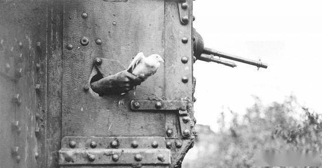 英国装甲战斗车辆（18）：1916年首批量产的“菱形”坦克