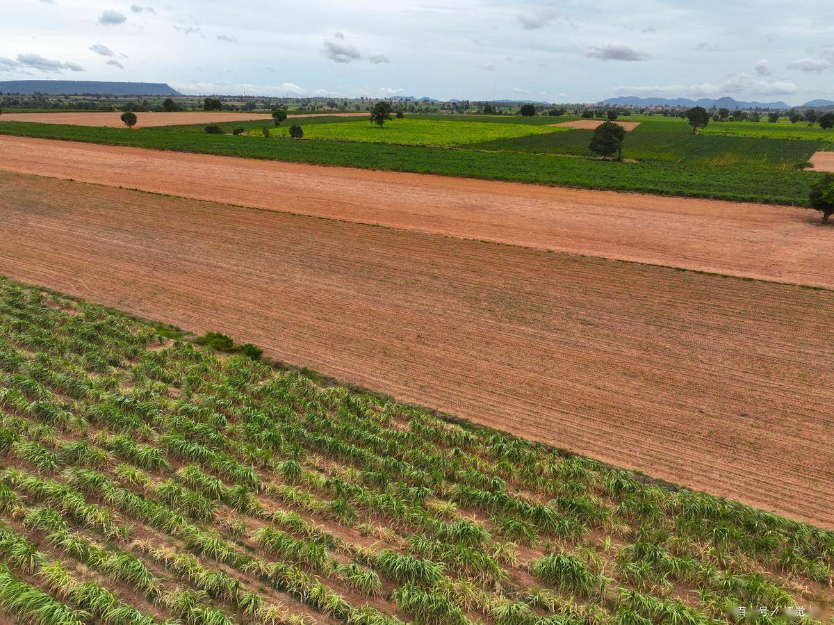 农村新规来了：2026年雷速体育- 雷速体育app下载- 足球篮球专业直播平台9月农村禁令生效这几类行为碰了就被罚