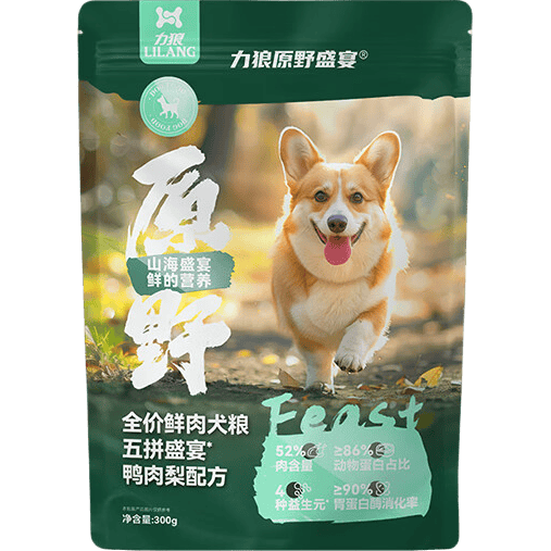 81a1b12559e944f1a8afffee2d6eea81.png