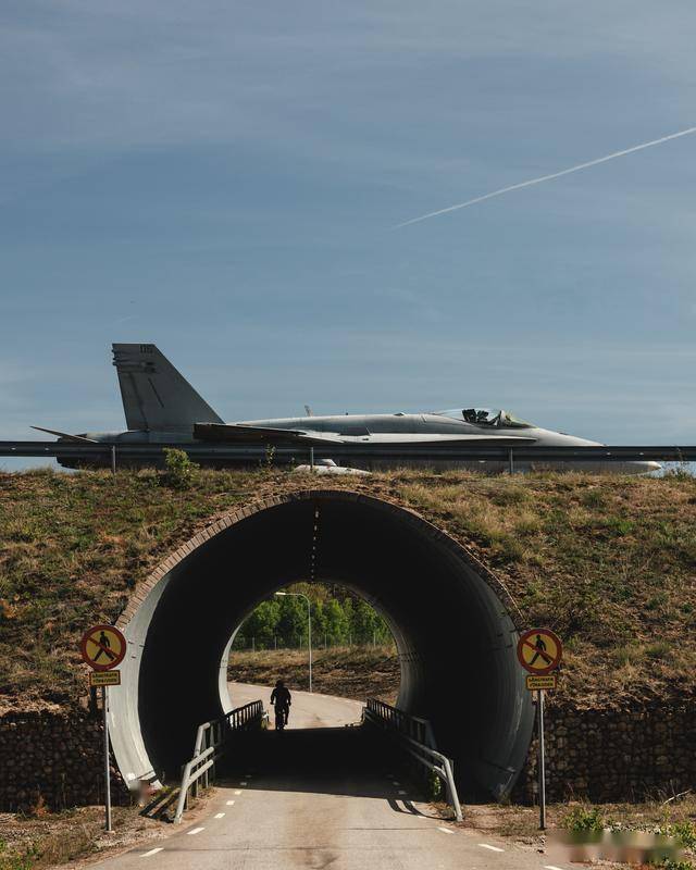 从弃子到全能王：麦道F/A-18“大黄蜂”的逆袭之路