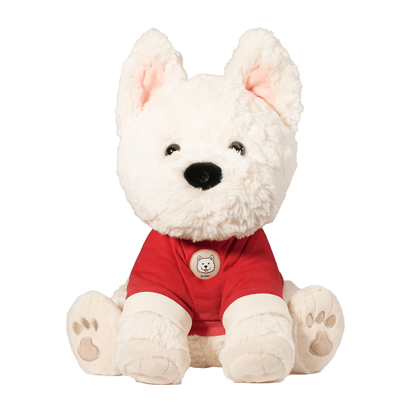 智能玩具推荐：为孩子的成长与学习注入科技活力(图3)