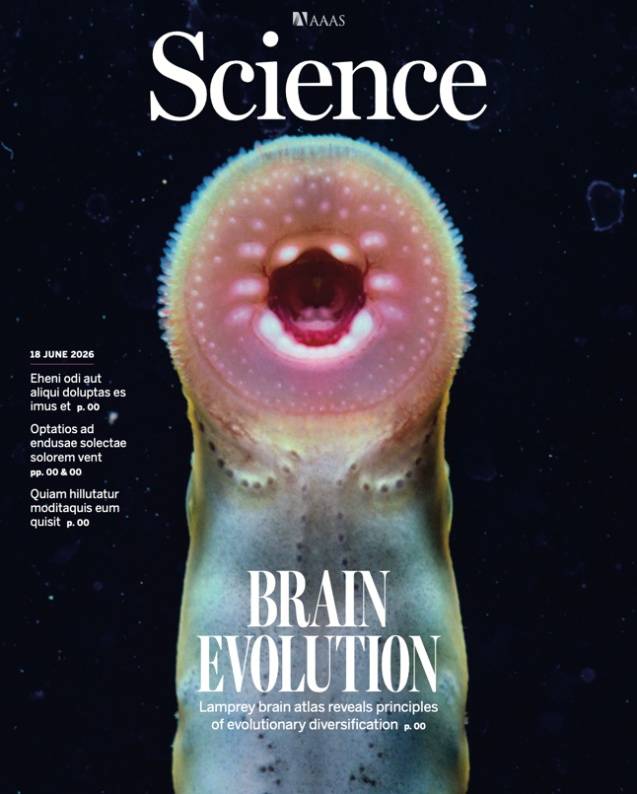 5亿年前脊椎动物的大脑长啥样？中国科学家给出“活化石”答案