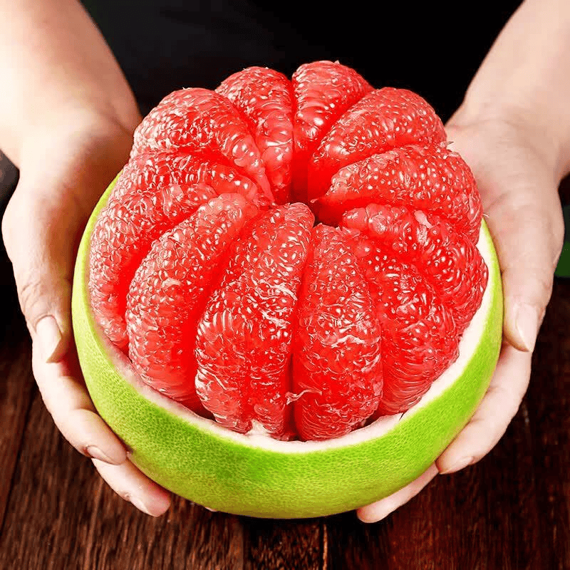 81023d1fc478432381de26222de5e046.png