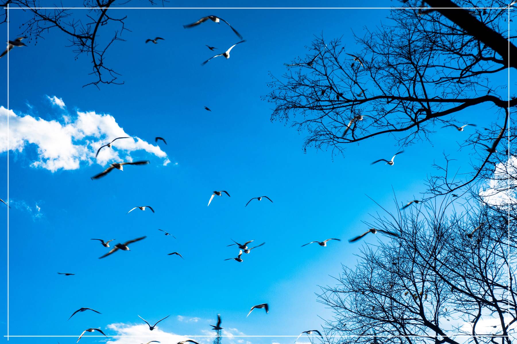 蓝色天空1/9寒怂2024-02-29 07:35:46发布于:云南省登录