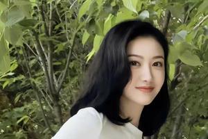 用户投诉“租小象”诱导签约后中介跑路 支付宝被指审核失职