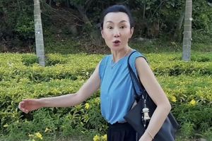 初源新材IPO：调查发现公司和关联方瑞钛新材电话和邮箱一致