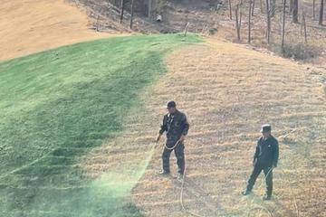 兴平一公园给草皮“喷绿漆”?当地回应:绿色液体为营养液