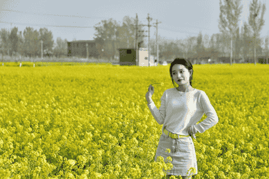 玉米胚芽粉被包装成“抗衰神器” 起底未来