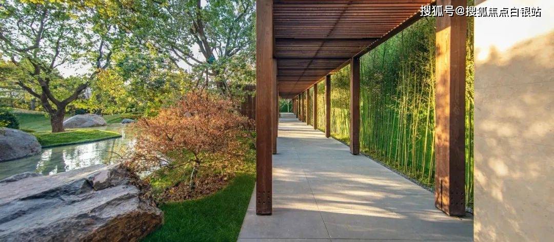 市面上相近价格标准的项目三倍之多,比如它的苗木皆为油松,丛生元宝枫