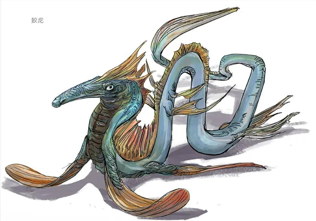 蛇大变蛟,尸体何处去?真相令人瞠目结舌!_蛟龙_进化_研究