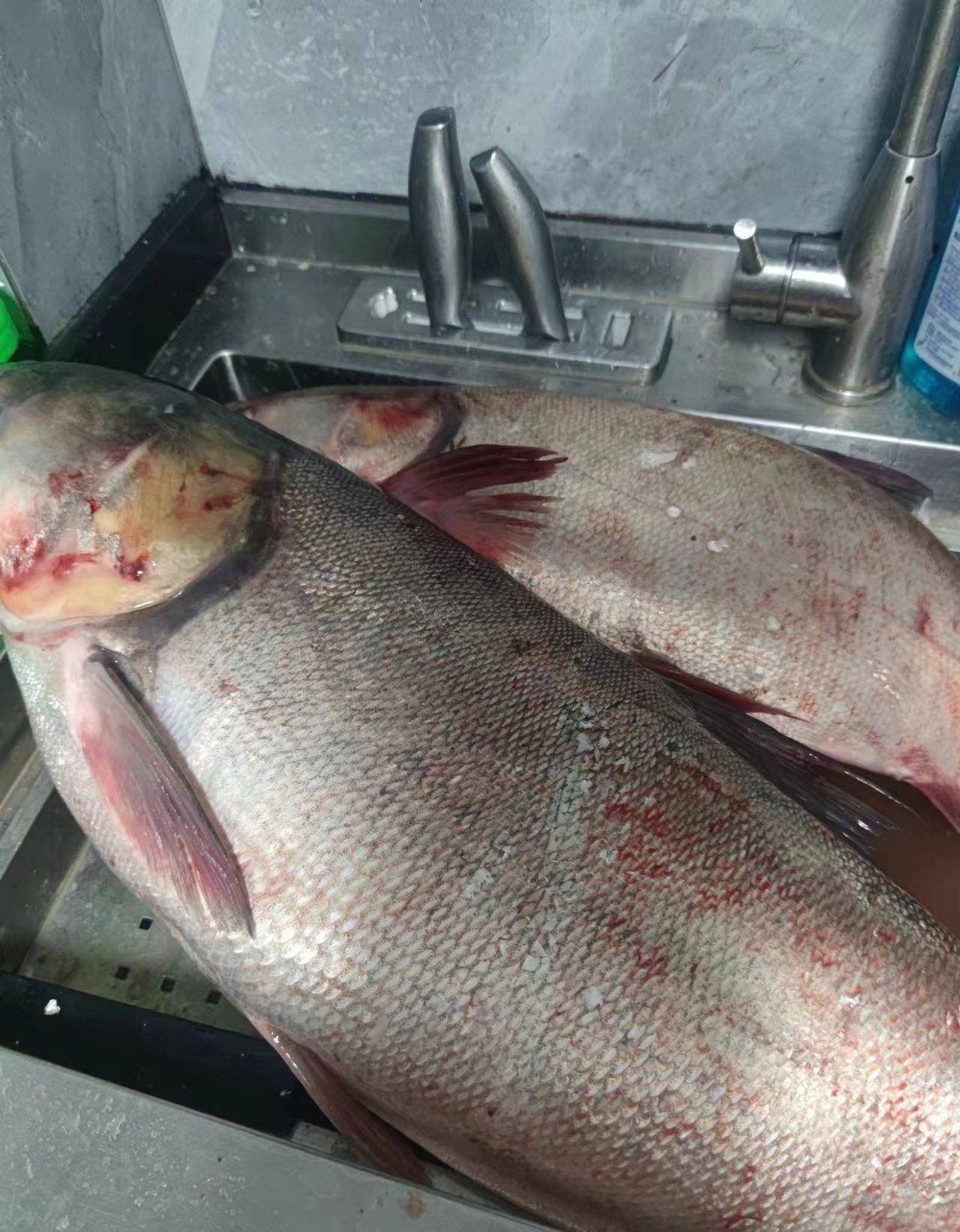 心得:大脚怪和大脚怪狩猎还是需要筑巢的,尤其是一两个人狩猎或者单独