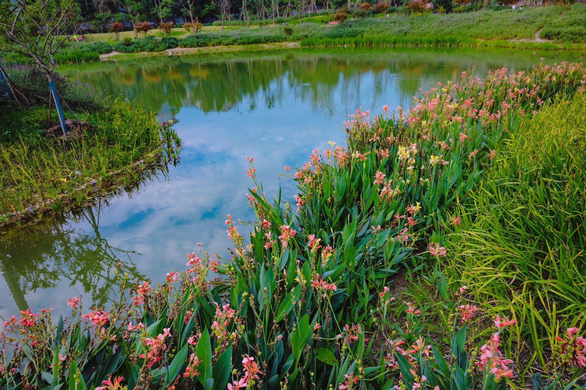 梓潼宫tod汀兰价格_售楼中心_梓潼宫tod汀兰_怎么样_配套_公园_商业