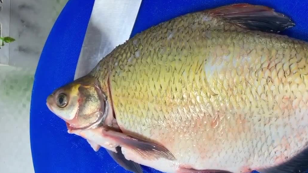 清蒸武昌鱼,鲜嫩少刺原汁原味,适合老人和孩子食用_淡水鱼_形状_红椒