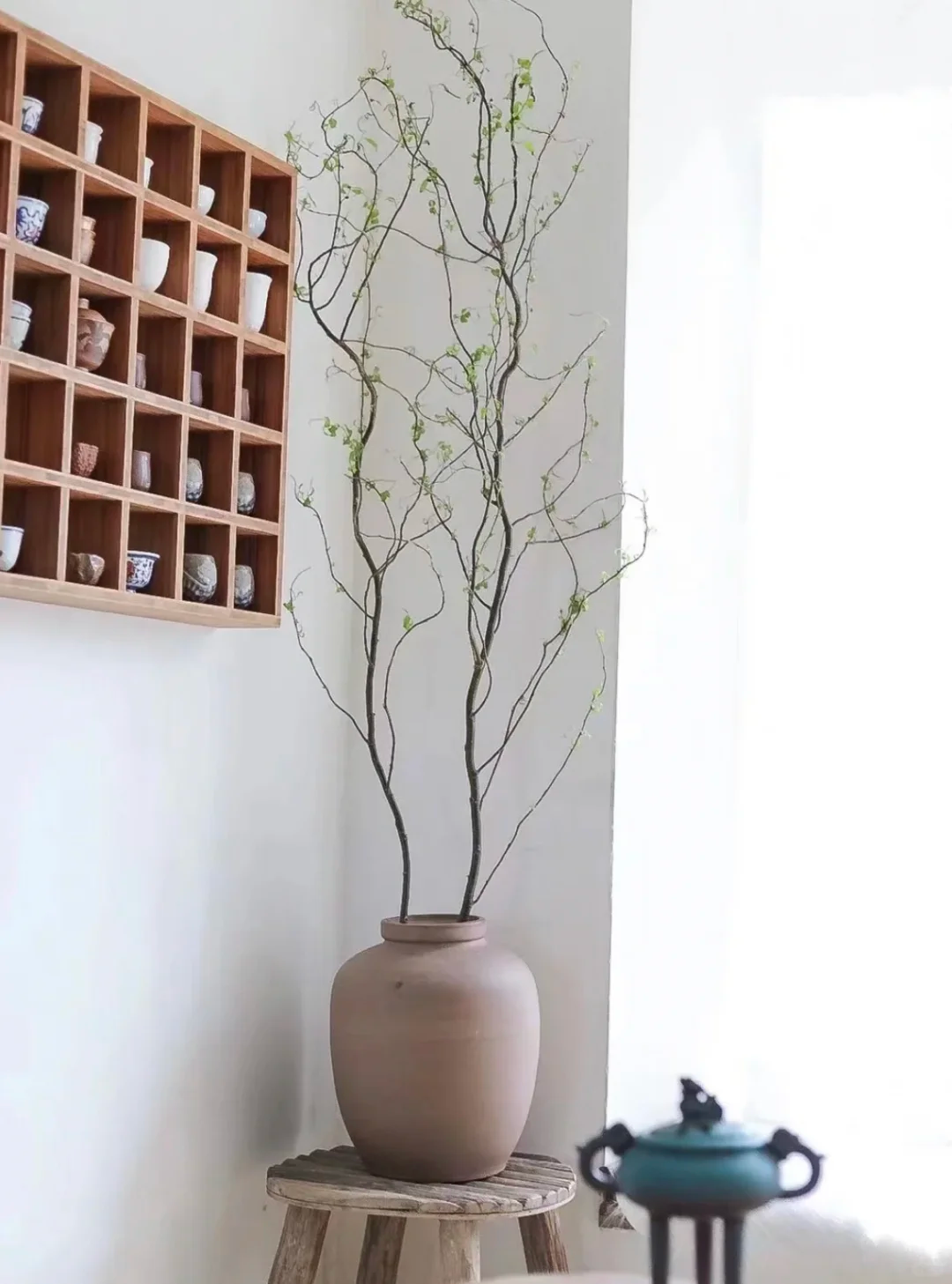 每周识花 | 龙年就要插龙柳,迎接新的好运气!_插花_线条_植物