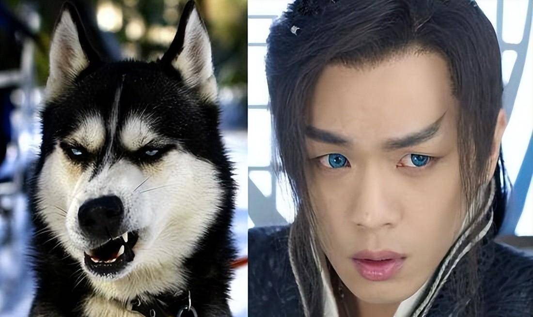 平心而论,张若昀的风天逸在颜值上确实不尽如人意