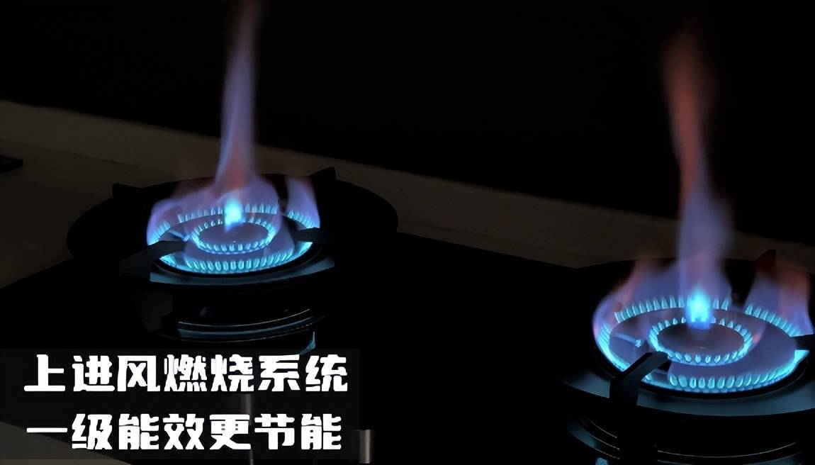 新年好味道,幸福换新灶丨万事兴33b2燃气灶火力全开,速享美味!