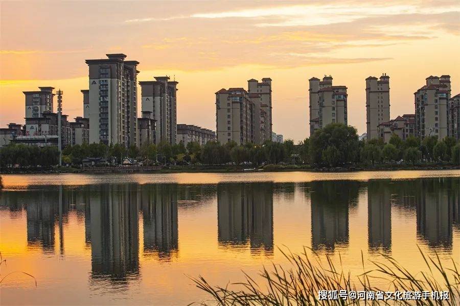 行走河南·读懂中国|霞光扶沟 大美桐丘_扶沟县_摄影家协会_路越盛