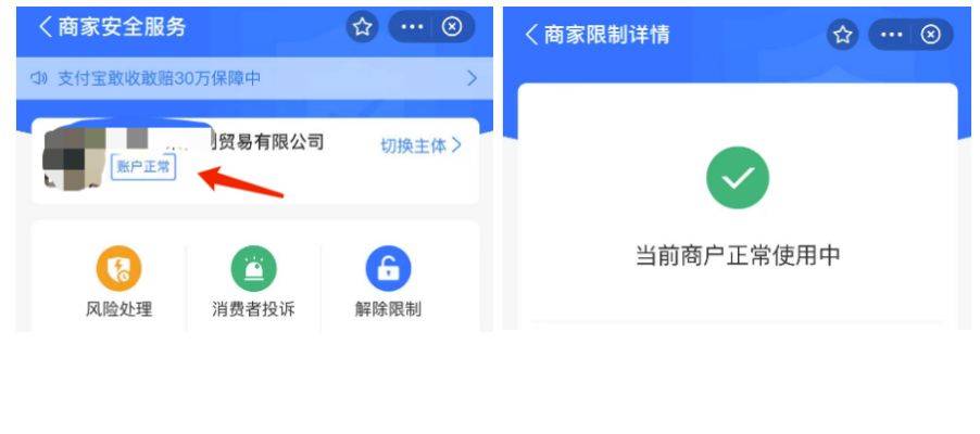 支付寶備付金全攻略:十年支付經驗分享,企業資金終極解決方案_轉賬