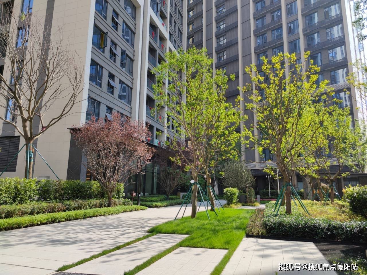 滨江樾城/天际怎么样!