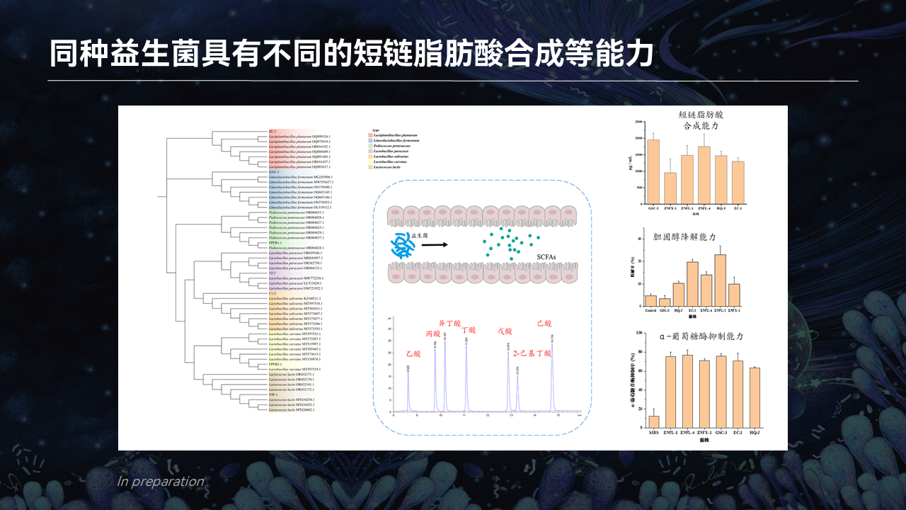 【圖文實錄】魏勇軍:微生物合成中草藥活性分子_進行_部分_可以將