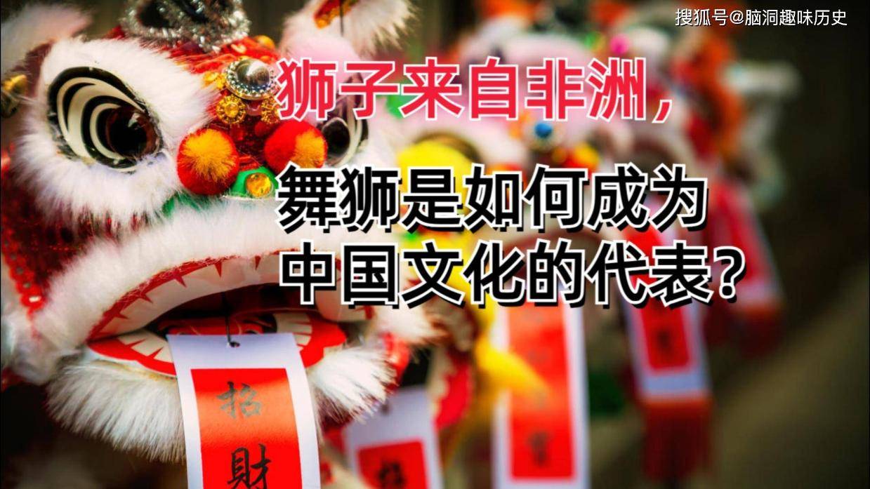 舞狮的来历：狮子来自非洲，舞狮为何会成为中国文化的代表？