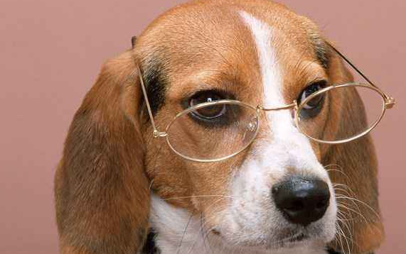 就是出现了前列腺增生的问题,这种病就是有可能是会增加是患有前列腺