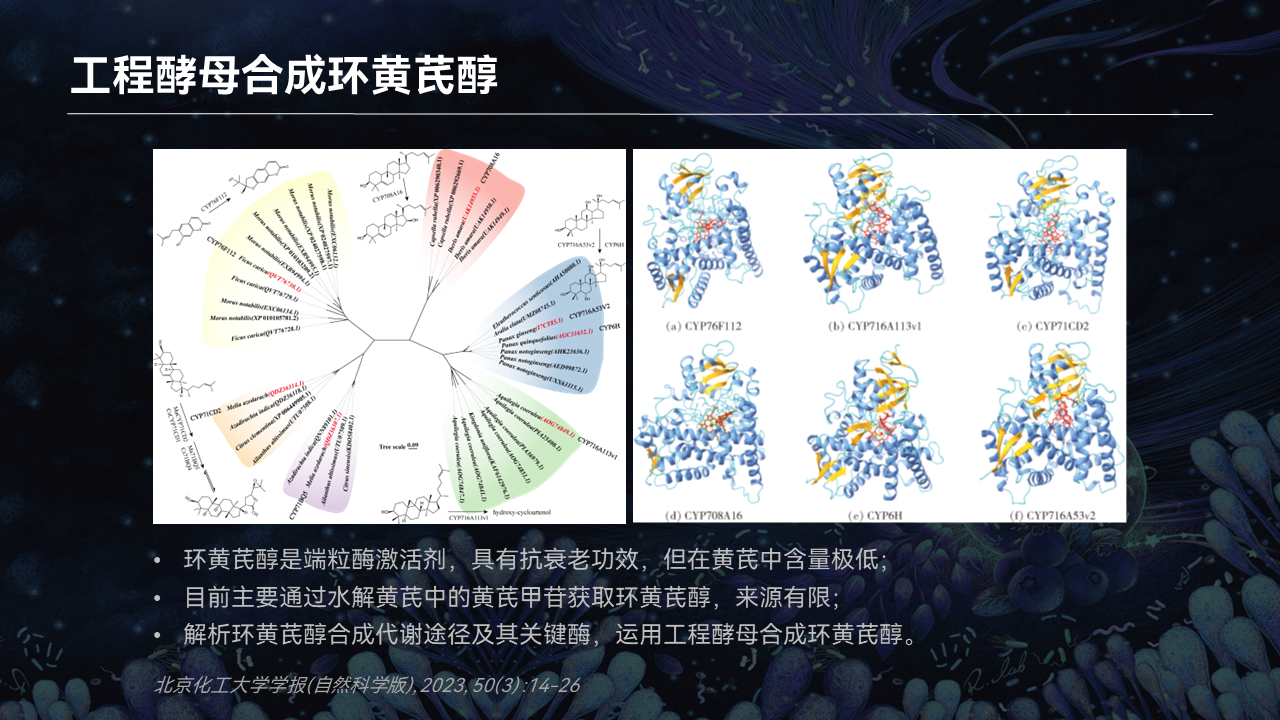 【圖文實錄】魏勇軍:微生物合成中草藥活性分子_進行_部分_可以將