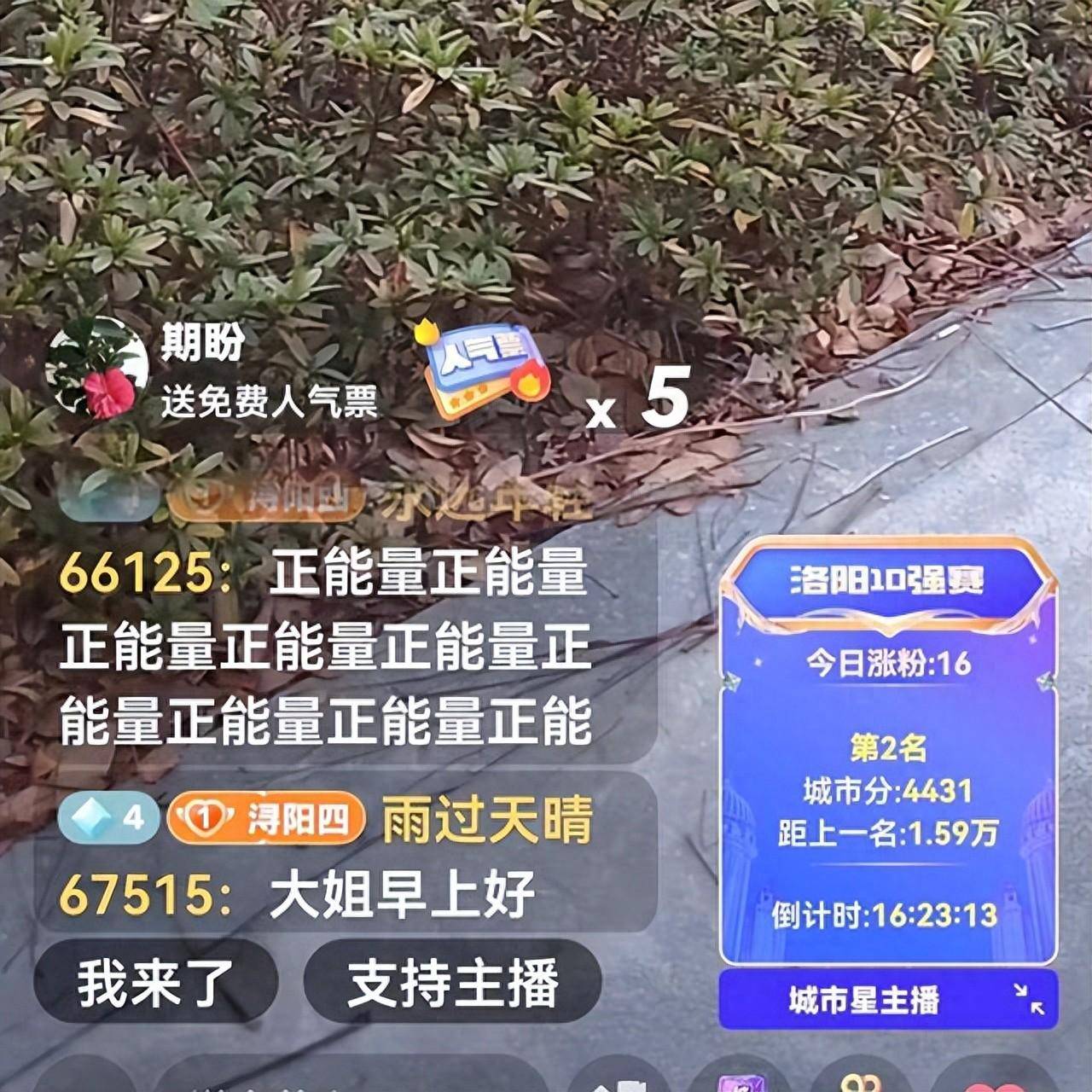 扳倒我的人還沒出生,柴桑回應老杜曬出的立案通知