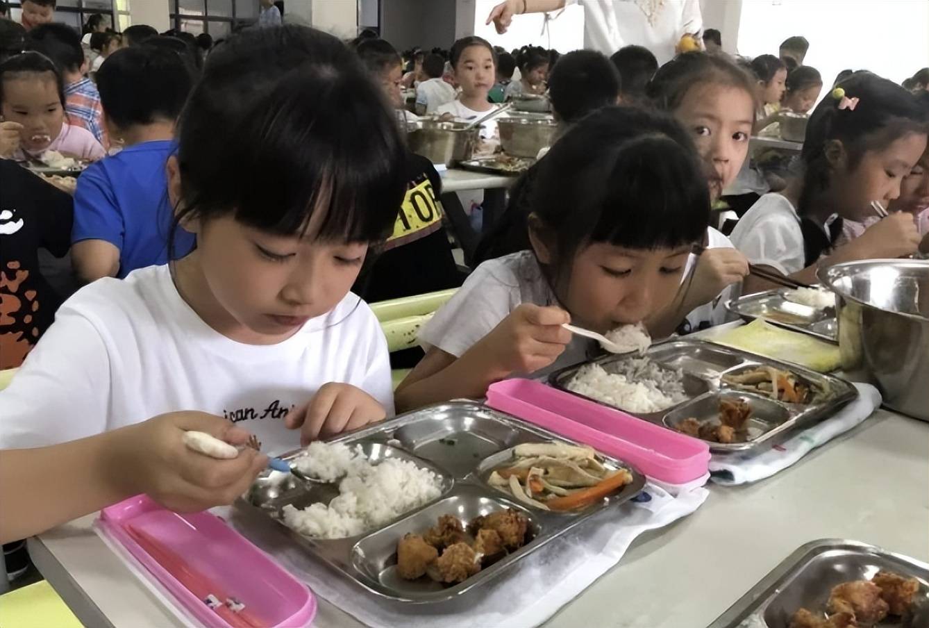 温州中小学迎来新规定