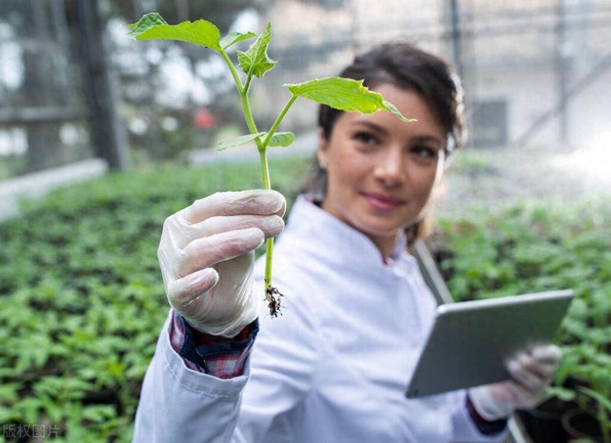 植保员怎么考？有什么要求？行业前景如何？